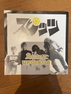 スピッツ】鳥になって UFOの見える丘 ソノシート レコード - メルカリ