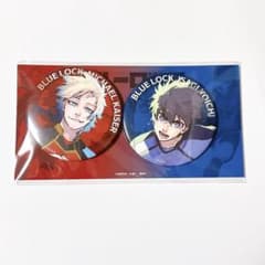 m32165018143_1.jpg?1755280723