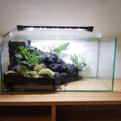 受注生産】滝の流れるアクアテラリウム イモリウム 苔 水槽 苔