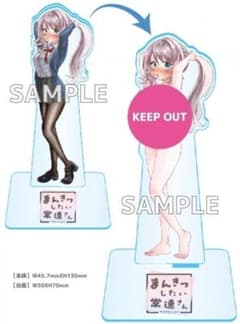 m33651583040_1.jpg?1749474994