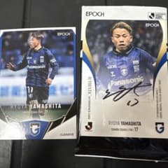 m74060497170_1.jpg?1758118341