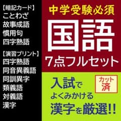 カット済【中学受験】国語 サーパス 漢字 暗記カード 練習帳 7点セット