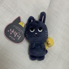 RIIZE ウォンビン ぬいぐるみ トニャンドク 10cm ドール - メルカリ