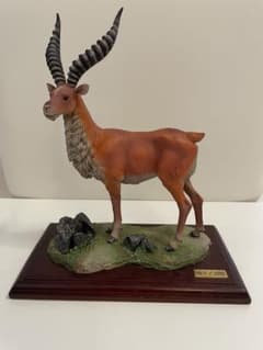 m76598894254_1.jpg?1746201312