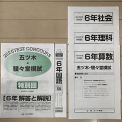 五ツ木模試 五ツ木駸々堂 2025 6年 六年 小6 過去問 解答解説 国算理社