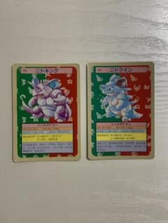 PSA10】アローラの仲間たち SR プロモ ポケモンカード | Shop at