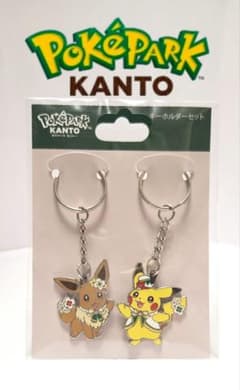 ポケパーク カントー ピカチュウ イーブイ カーニバル衣装