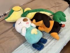 ポケモンセンター初夢 すやすやぬいぐるみ ツタージャ ミジュマル