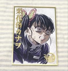 m79531722884_1.jpg?1767104787