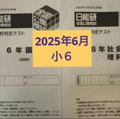 6年 2025年6月 日能研 全国公開模試 志望校判定テスト 4科 - メルカリ