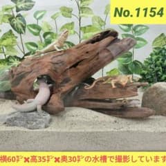 No.1154】シェルター流木 爬虫類レイアウト✫インテリア✫エアー