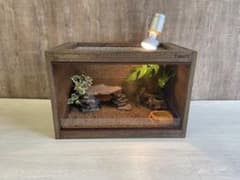 FandK爬虫類木製ケージ pieni - メルカリ