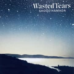 m70661214566_1.jpg?1713272211