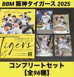 m70877228201_1.jpg?1755100583