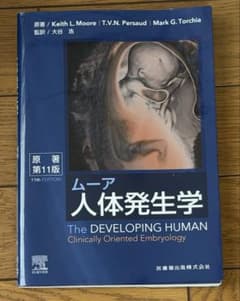 ムーア人体発生学 - メルカリ