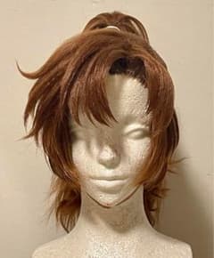 忍たま乱太郎 善法寺伊作 コスプレ ウィッグ - メルカリ