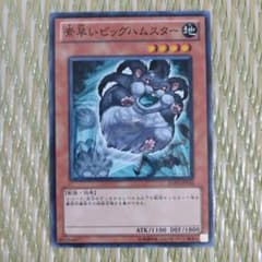 m72290317882_1.jpg?1660237360