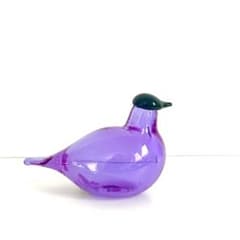 m72919944688_1.jpg?1762609287