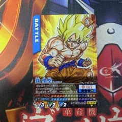 m73671051409_1.jpg?1749564848