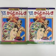 m84033635090_1.jpg?1762163636