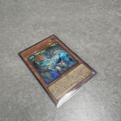 遊戯王 調和ノ天救竜 シークレット 1枚 - メルカリ