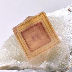 m85168732848_1.jpg?1764639305