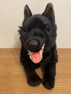 m86570392986_1.jpg?1760784430