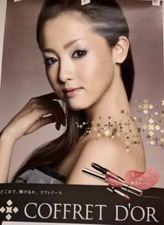 激レア／非売品／モデル／沢尻 エリカ／カネボウ化粧品コフレドール