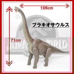 m87084789178_1.jpg?1748497367