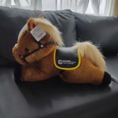 非売品】JRA競走馬「特大ぬいぐるみ」競馬グッズ 優勝記念/ ウマ娘