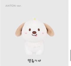 RIIZE アントン 10cmドール ぬいぐるみ キーホルダー モンリョンイ