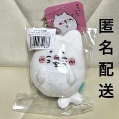 未開封 ナガノの水族館 アザラシ ぬいぐるみくじ D賞 ねこのアザラシ