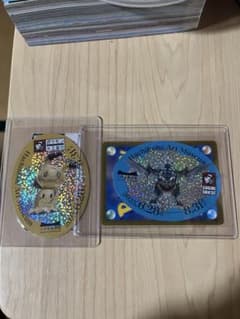 流通枚数10枚 500枚】ポケモン工芸展 バス利用入場券特典エラー品