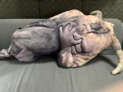 モンスターハンターライズ サンブレイク 激昂ラージャン 睡眠状態