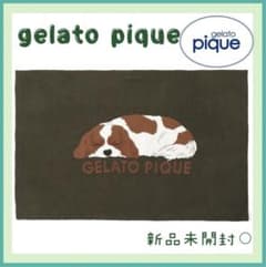 ジェラートピケ ジャガードブランケット キャバリアSLEEPING DOG