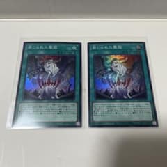 遊戯王 禁じられた聖冠 2枚セット - メルカリ