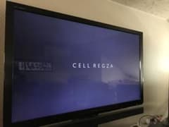 m94571457502_1.jpg?1712111013