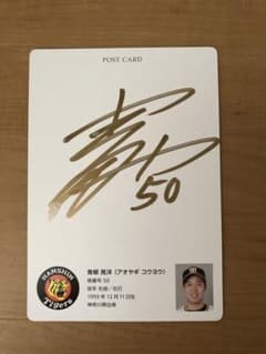 m95440951598_1.jpg?1672312338