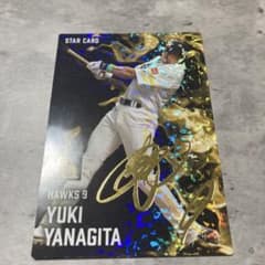 m95530091947_1.jpg?1756480632