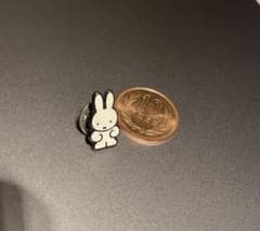 激レア】全裸ミッフィー ピンバッジ 大阪関西万博EXPO2025 - メルカリ