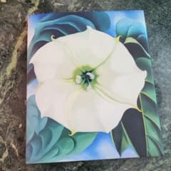 大型本・美品】ジョージア・オキーフ 花の作品集 - メルカリ