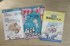 プチナース 2024年4月 疾患別関連図 解剖ポスター 付録あり - メルカリ