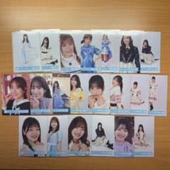 m99524177761_1.jpg?1751738651