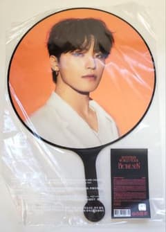 SEVENTEEN セブチ BE THE SUN うちわ ディノ - メルカリ