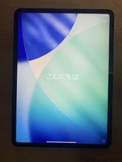 ジャンク・画面割れなし】iPad Pro 11インチ第3世代 Wi-Fiモデル