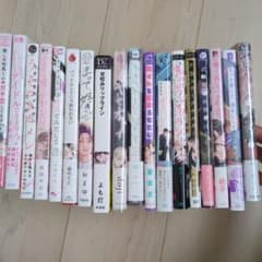 商業BL③ まとめ売り ボーイズラブ bl 18 冊セット 新作あり - メルカリ