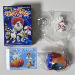 2026年最新】リーメント ぷち わたし犬の人気アイテム - メルカリ