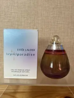 2026年最新】エスティローダー ビヨンド パラダイス 100mlの人気