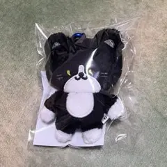 2026年最新】イェソン ぬいぐるみの人気アイテム - メルカリ