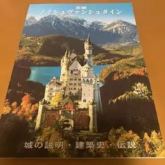 2026年最新】ノイシュバンシュタイン城の人気アイテム - メルカリ